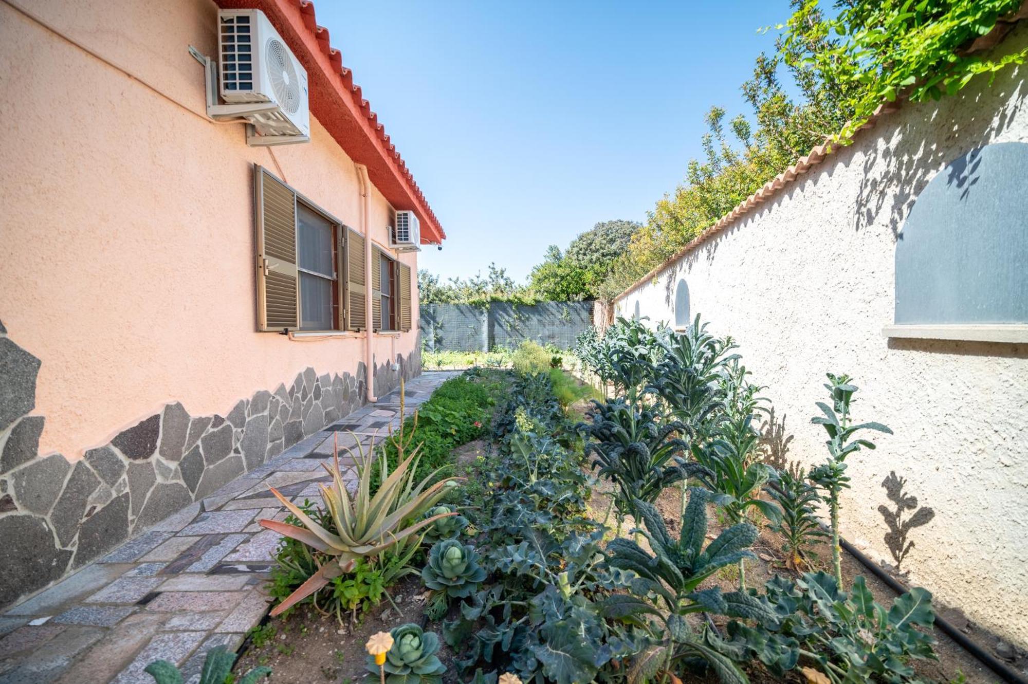 Resonance Experience - Tranquil Room Close To Beaches And Sacred Sites Sant Isidoro  Exterior photo